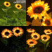 Sunflower Solar Rechargable Lights with 3 Sunflower Lights, Waterproof Solar Outdoor Lights Auto ON/Off Solar Decorative Lights for Garden, Patio