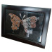 Ms. DIY Mirror Butterfly Painting