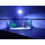 Aquarium Glass Small Mini Fish Betta with artificial plant and lava rock(30cm x12 cm x 17cm)  with color changing LED