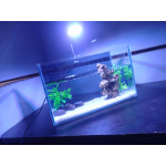 Aquarium Glass Small Mini Fish Betta with artificial plant and lava rock(30cm x12 cm x 17cm)  with color changing LED