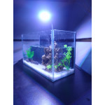 Aquarium Glass Small Mini Fish Betta with artificial plant and lava rock(30cm x12 cm x 17cm)  with color changing LED