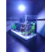 Aquarium Glass Small Mini Fish Betta with artificial plant and lava rock(30cm x12 cm x 17cm)  with color changing LED